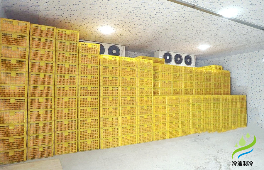 建造一個(gè)橙子冷庫需要多少錢？(圖2)
